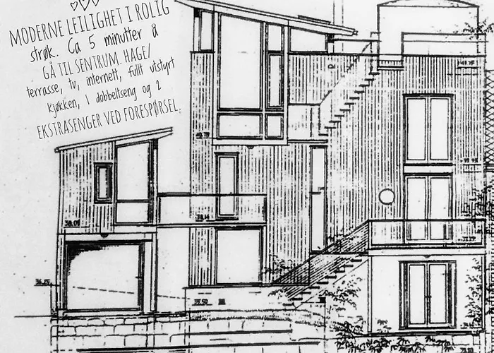 Bergvegen Aalesund *